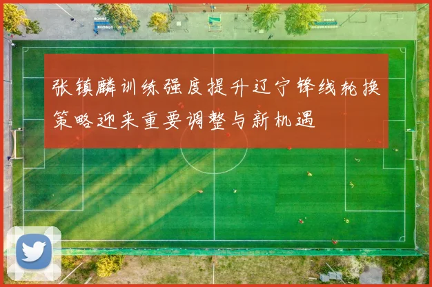 张镇麟训练强度提升辽宁锋线轮换策略迎来重要调整与新机遇
