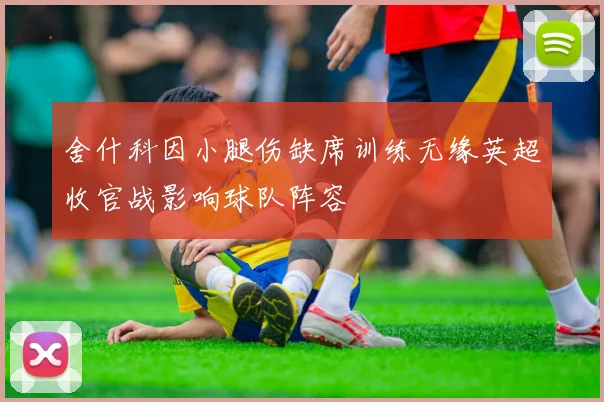 舍什科因小腿伤缺席训练无缘英超收官战影响球队阵容